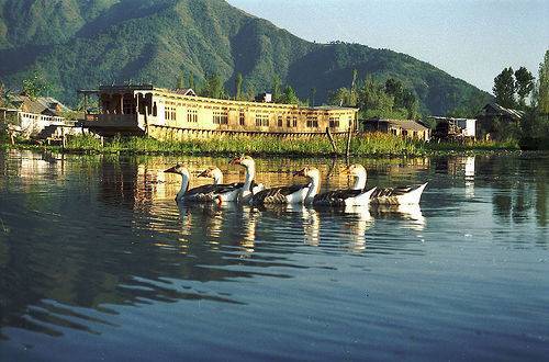 Golden Triangle Tour with Srinagar & Mumbai