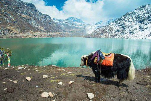 Splendid Gangtok & Pelling