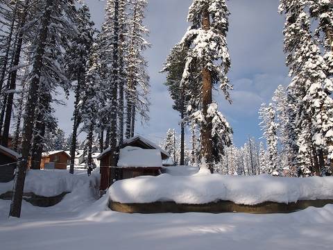 Golden Triangle Tour with Kashmir 