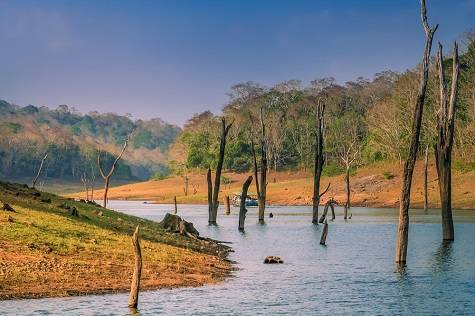 Magical Kerala Tour