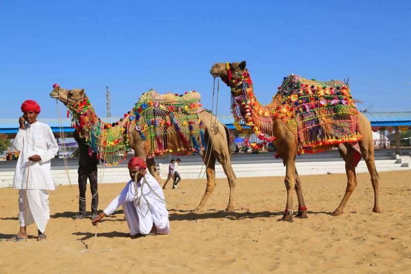 Rajasthan Desert Safari Tour Package