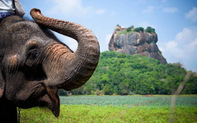 Navagraha Temple Tour Of South India