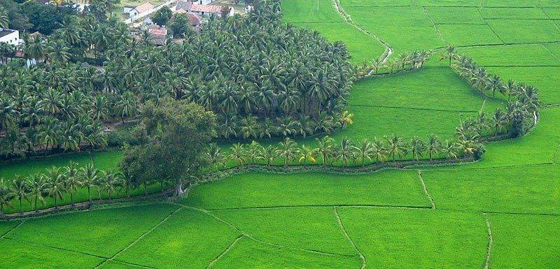 Tropical Kerala