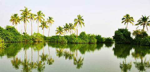 Alluring kerala