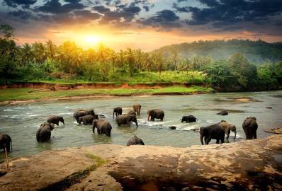 Alluring kerala