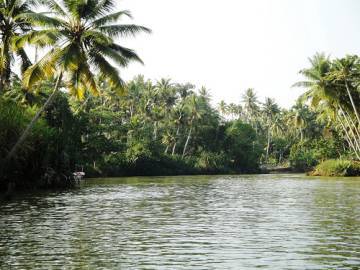 Relaxing Kerala Img6