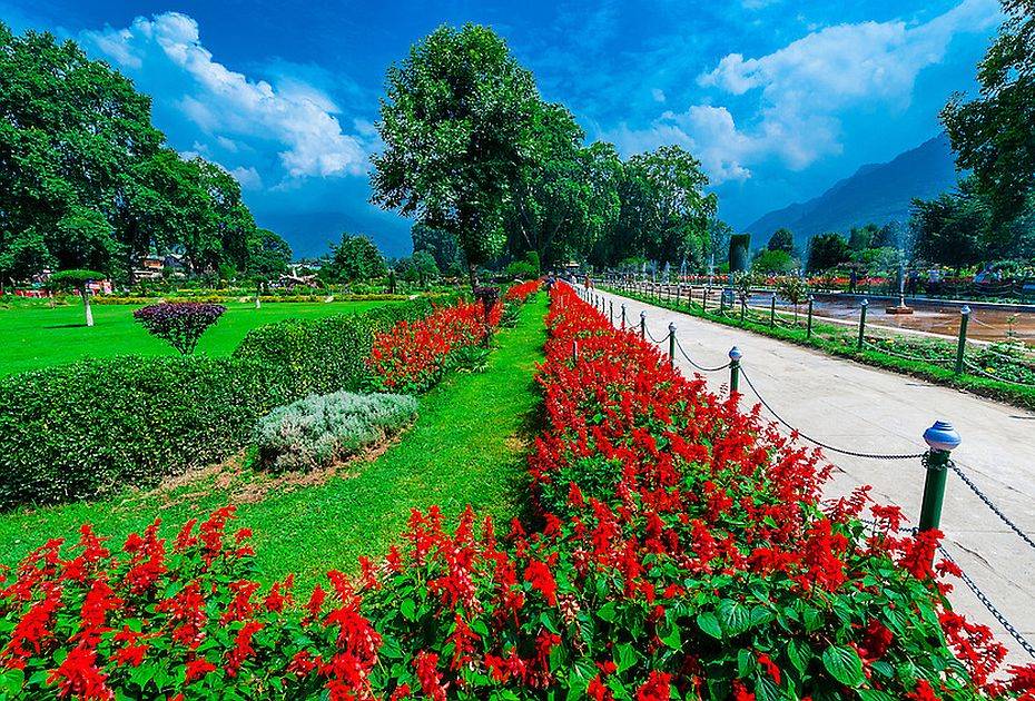Golden Triangle Tour with Kashmir 