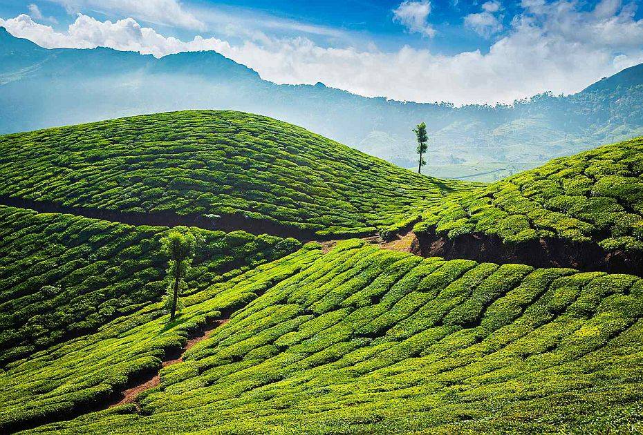 Magical Kerala Tour