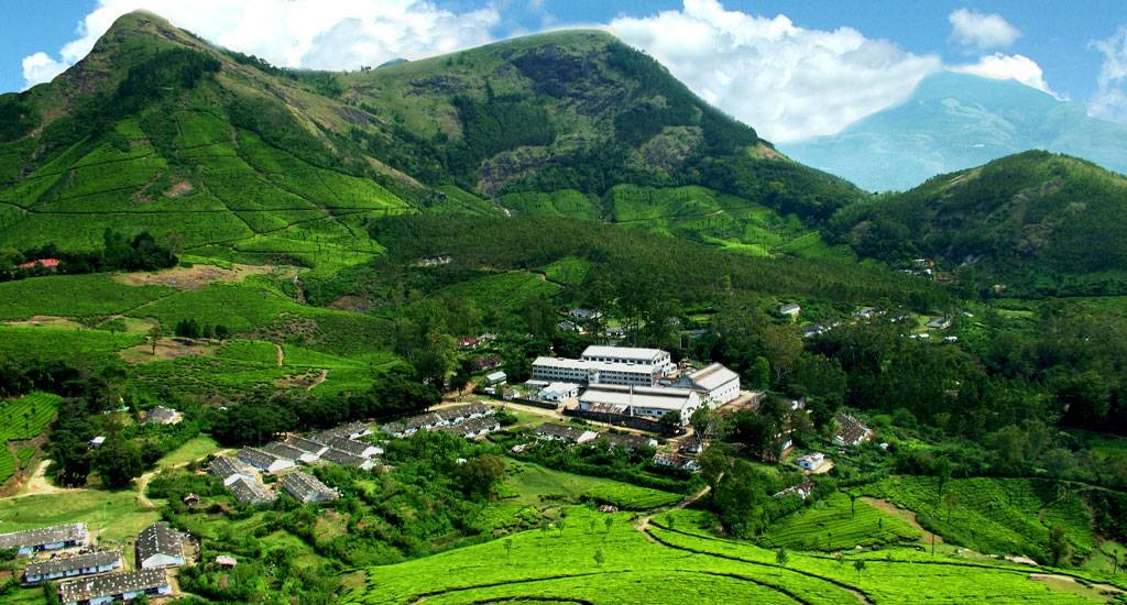 Visit To The Town Of Tea Factories