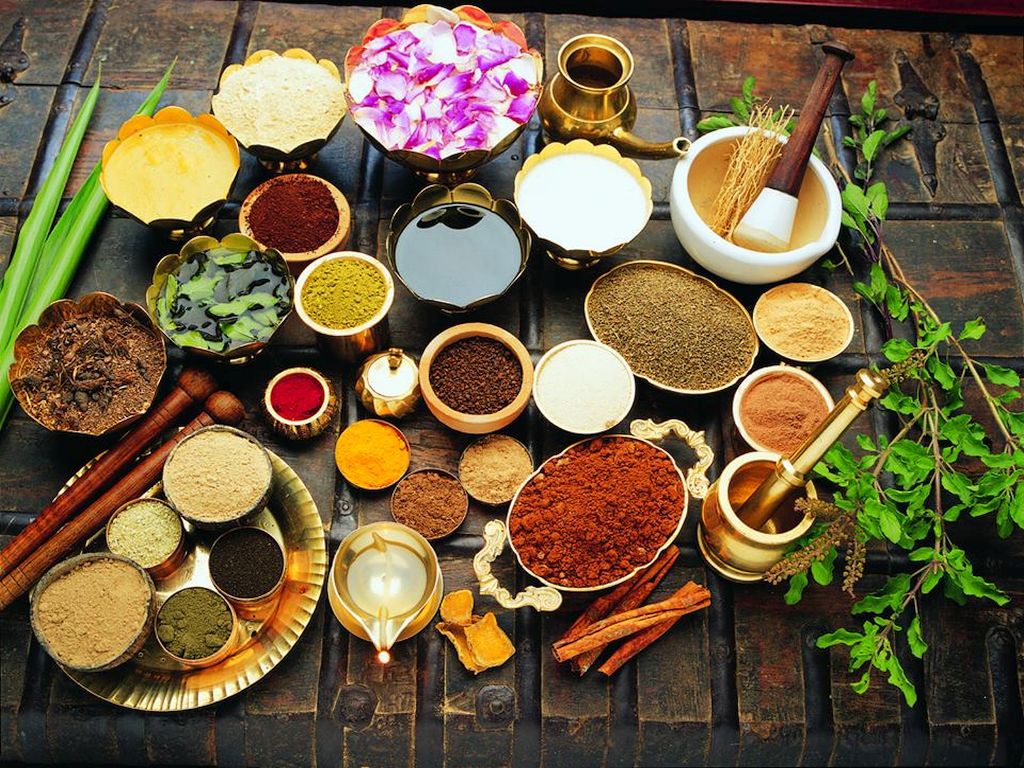 REJUVENATION PROGRAM