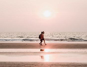 Sun, Sea, Surf - Goa