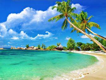 wholesale tour operator
