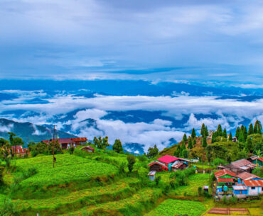 darjeeling3