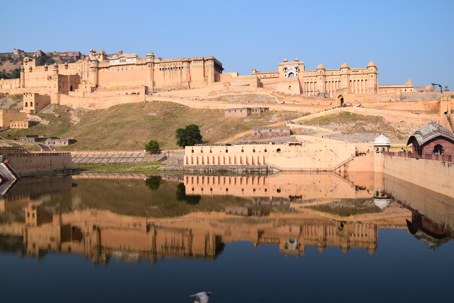 Amer Fort (Amber Fort) in Jaipur with grand architecture and hilltop views during 2-week India tour.