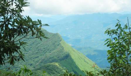Wilderness