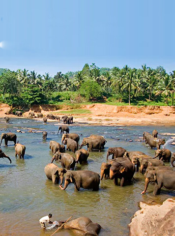 Maharashtra Mumbai bollywood City tour - Special holidays